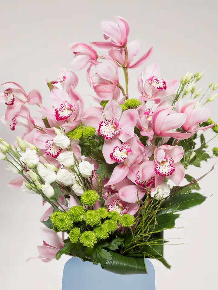 Mazzo di cymbidium rosa, lisianthus bianchi e santini verdi close up